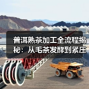普洱熟茶加工全流程揭秘:从毛茶发酵到紧压成型的关键步骤(图4) 普洱熟茶加工全流程揭秘:从毛茶发酵到紧压成型的关键步骤(图4)