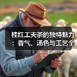 桂红工夫茶的独特魅力：香气、汤色与工艺全解析（图4）