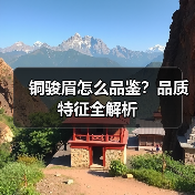 铜骏眉怎么品鉴?品质特征全解析(图1) 铜骏眉怎么品鉴?品质特征全解析(图1)