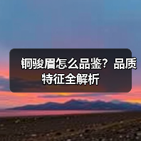 铜骏眉怎么品鉴?品质特征全解析(图3) 铜骏眉怎么品鉴?品质特征全解析(图3)