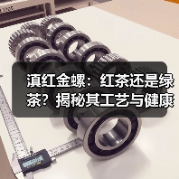 滇红金螺:红茶还是绿茶?揭秘其工艺与健康功效(图3) 滇红金螺:红茶还是绿茶?揭秘其工艺与健康功效(图3)