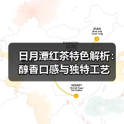 日月潭红茶特色解析:醇香口感与独特工艺(图3) 日月潭红茶特色解析:醇香口感与独特工艺(图3)