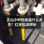 正山小种到底是什么茶类?红茶起源探秘(图4) 正山小种到底是什么茶类?红茶起源探秘(图4)