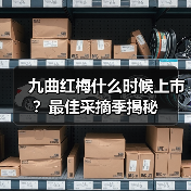 九曲红梅什么时候上市?最佳采摘季揭秘(图1) 九曲红梅什么时候上市?最佳采摘季揭秘(图1)