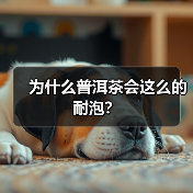 为什么普洱茶会这么的耐泡？（图2）