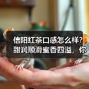 信阳红茶口感怎么样?甜润顺滑蜜香四溢,你喝过吗?(图3) 信阳红茶口感怎么样?甜润顺滑蜜香四溢,你喝过吗?(图3)