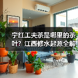 宁红工夫茶是哪里的茶叶?江西修水起源全解析(图3) 宁红工夫茶是哪里的茶叶?江西修水起源全解析(图3)