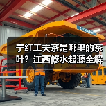 宁红工夫茶是哪里的茶叶?江西修水起源全解析(图2) 宁红工夫茶是哪里的茶叶?江西修水起源全解析(图2)