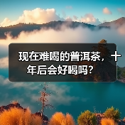现在难喝的普洱茶,十年后会好喝吗?(图1) 现在难喝的普洱茶,十年后会好喝吗?(图1)
