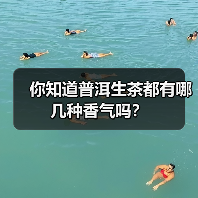 你知道普洱生茶都有哪几种香气吗?(图4) 你知道普洱生茶都有哪几种香气吗?(图4)