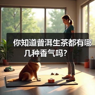 你知道普洱生茶都有哪几种香气吗?(图2) 你知道普洱生茶都有哪几种香气吗?(图2)