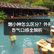 烟小种怎么区分?外形香气口感全解析(图1) 烟小种怎么区分?外形香气口感全解析(图1)