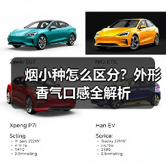 烟小种怎么区分?外形香气口感全解析(图3) 烟小种怎么区分?外形香气口感全解析(图3)
