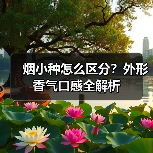 烟小种怎么区分?外形香气口感全解析(图4) 烟小种怎么区分?外形香气口感全解析(图4)
