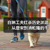 白琳工夫红茶历史渊源:从唐宋到清乾隆的千年传承(图1) 白琳工夫红茶历史渊源:从唐宋到清乾隆的千年传承(图1)