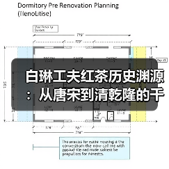 白琳工夫红茶历史渊源:从唐宋到清乾隆的千年传承(图4) 白琳工夫红茶历史渊源:从唐宋到清乾隆的千年传承(图4)