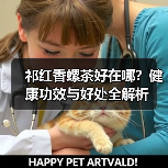 祁红香螺茶好在哪?健康功效与好处全解析(图1) 祁红香螺茶好在哪?健康功效与好处全解析(图1)