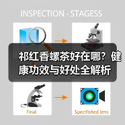 祁红香螺茶好在哪?健康功效与好处全解析(图2) 祁红香螺茶好在哪?健康功效与好处全解析(图2)