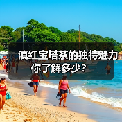 滇红宝塔茶的独特魅力你了解多少?(图3) 滇红宝塔茶的独特魅力你了解多少?(图3)