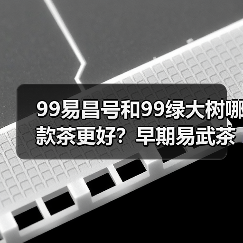 99易昌号和99绿大树哪款茶更好?早期易武茶标杆之作(图3) 99易昌号和99绿大树哪款茶更好?早期易武茶标杆之作(图3)