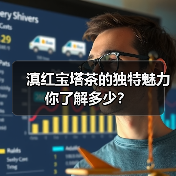 滇红宝塔茶的独特魅力你了解多少?(图4) 滇红宝塔茶的独特魅力你了解多少?(图4)