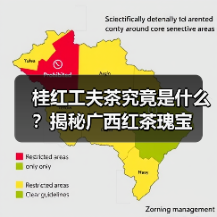 桂红工夫茶究竟是什么?揭秘广西红茶瑰宝(图1) 桂红工夫茶究竟是什么?揭秘广西红茶瑰宝(图1)