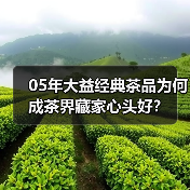 05年大益经典茶品为何成茶界藏家心头好?(图3) 05年大益经典茶品为何成茶界藏家心头好?(图3)