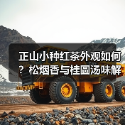 正山小种红茶外观如何?松烟香与桂圆汤味解析(图4) 正山小种红茶外观如何?松烟香与桂圆汤味解析(图4)