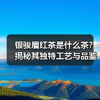 银骏眉红茶是什么茶?揭秘其独特工艺与品鉴技巧(图2) 银骏眉红茶是什么茶?揭秘其独特工艺与品鉴技巧(图2)