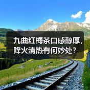 九曲红梅茶口感醇厚,降火清热有何妙处?(图2) 九曲红梅茶口感醇厚,降火清热有何妙处?(图2)