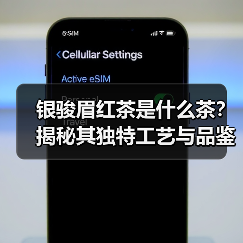 银骏眉红茶是什么茶?揭秘其独特工艺与品鉴技巧(图3) 银骏眉红茶是什么茶?揭秘其独特工艺与品鉴技巧(图3)