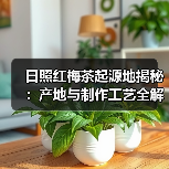 日照红梅茶起源地揭秘：产地与制作工艺全解析（图2）