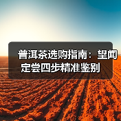 普洱茶选购指南:望闻定尝四步精准鉴别(图3) 普洱茶选购指南:望闻定尝四步精准鉴别(图3)