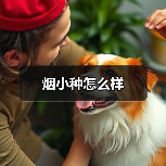 烟小种怎么样(图4) 烟小种怎么样(图4)