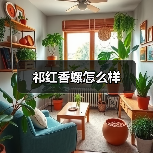 祁红香螺怎么样(图1) 祁红香螺怎么样(图1)