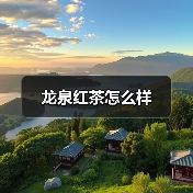 龙泉红茶怎么样(图3) 龙泉红茶怎么样(图3)