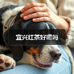 宜兴红茶好喝吗(图4) 宜兴红茶好喝吗(图4)