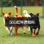 汉山红味道如何(图3) 汉山红味道如何(图3)