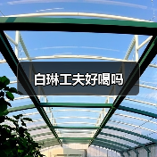白琳工夫好喝吗(图3) 白琳工夫好喝吗(图3)