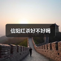 信阳红茶好不好喝(图2) 信阳红茶好不好喝(图2)