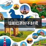 信阳红茶好不好喝(图3) 信阳红茶好不好喝(图3)