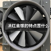 滇红金螺的特点是什么(图4) 滇红金螺的特点是什么(图4)