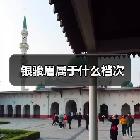 银骏眉属于什么档次(图3) 银骏眉属于什么档次(图3)