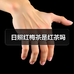 日照红梅茶是红茶吗(图2) 日照红梅茶是红茶吗(图2)