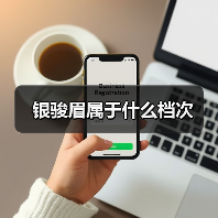 银骏眉属于什么档次(图4) 银骏眉属于什么档次(图4)