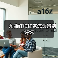 九曲红梅红茶怎么辨别好坏(图3) 九曲红梅红茶怎么辨别好坏(图3)