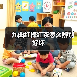 九曲红梅红茶怎么辨别好坏(图2) 九曲红梅红茶怎么辨别好坏(图2)