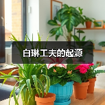 白琳工夫的起源(图3) 白琳工夫的起源(图3)