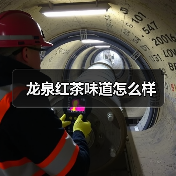 龙泉红茶味道怎么样(图3) 龙泉红茶味道怎么样(图3)