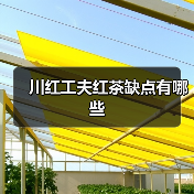 川红工夫红茶缺点有哪些(图2) 川红工夫红茶缺点有哪些(图2)